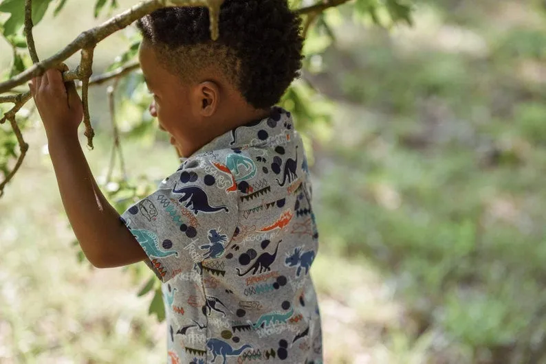 Boys Dinosaur Shirt and Bow Tie